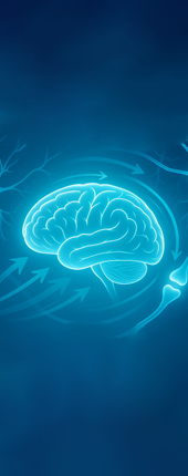 Улучшение работы мозга&nbsp; копия.png