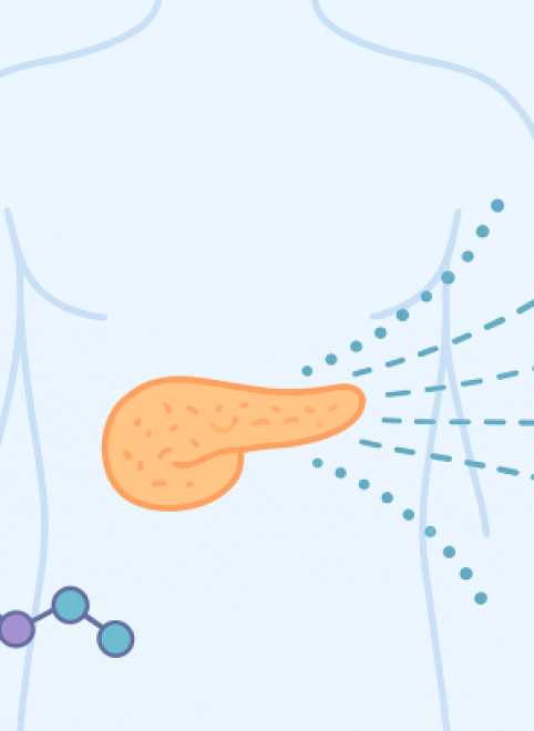 Пептиды для поджелудочной железы