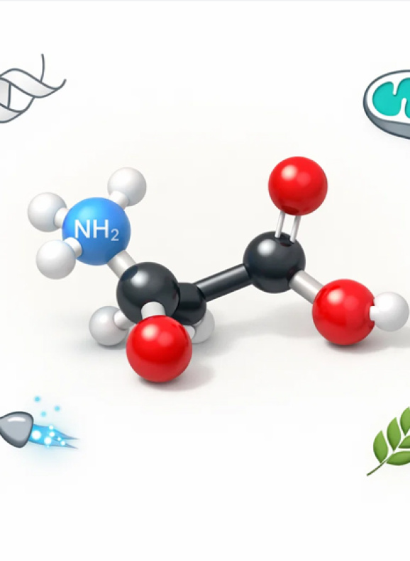 В каких продуктах содержится аспарагиновая кислота: полный список источников и таблица содержания