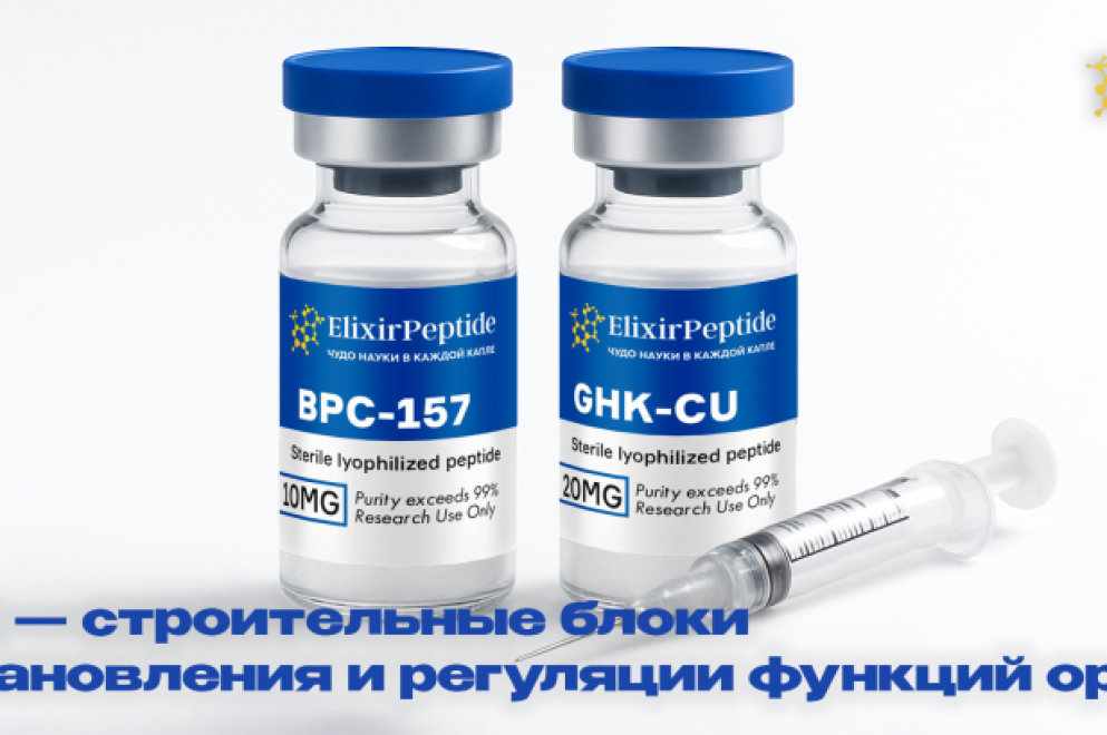 Пептиды польза и вред для организма человека