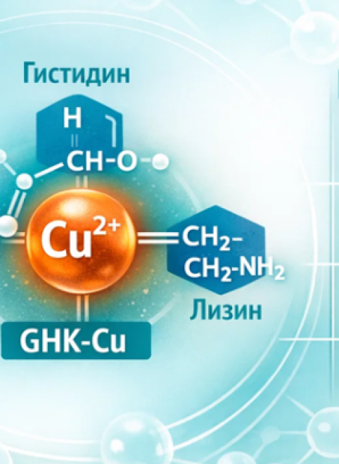 Трипептид меди: что это такое и какую роль он играет в организме