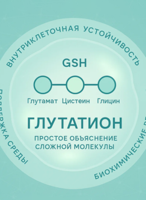 Почему глутатион важен для организма: простое объяснение