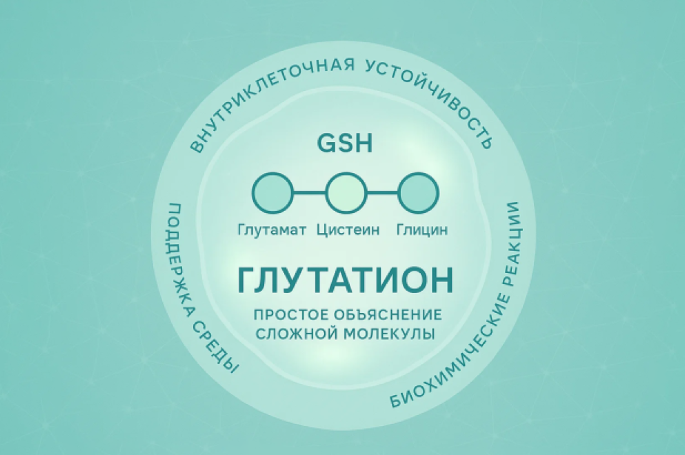 Почему глутатион важен для организма: простое объяснение