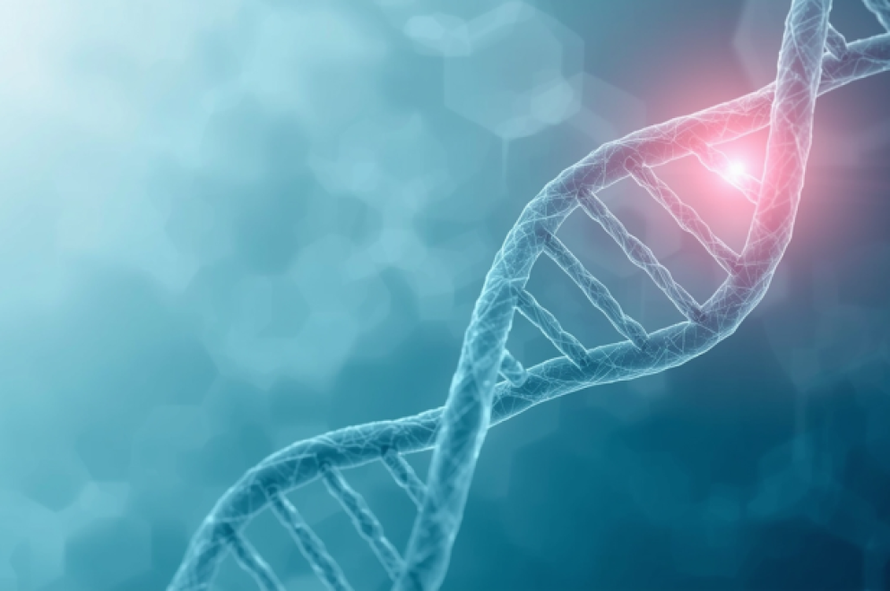 Почему стареет организм