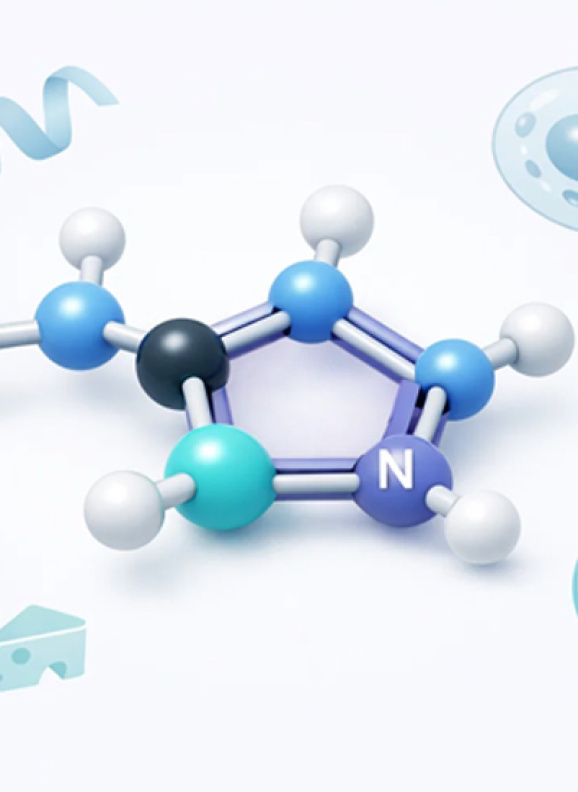 Что такое гистидин: роль аминокислоты и основные пищевые источники